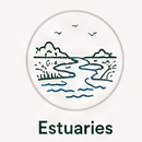 Estuaries