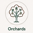 Orchards