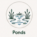 Ponds