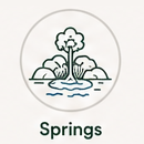 Springs