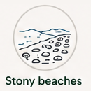 Stony Beaches
