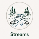Streams