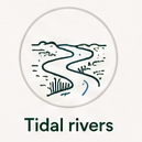 Tidal Rivers
