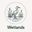 Wetlands